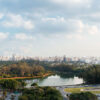 Biotique Ibirapuera - Image 5